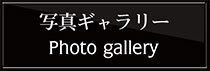 写真ギャラリー